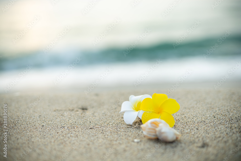 砂浜とプルメリアの花 砂浜とプルメリアの花