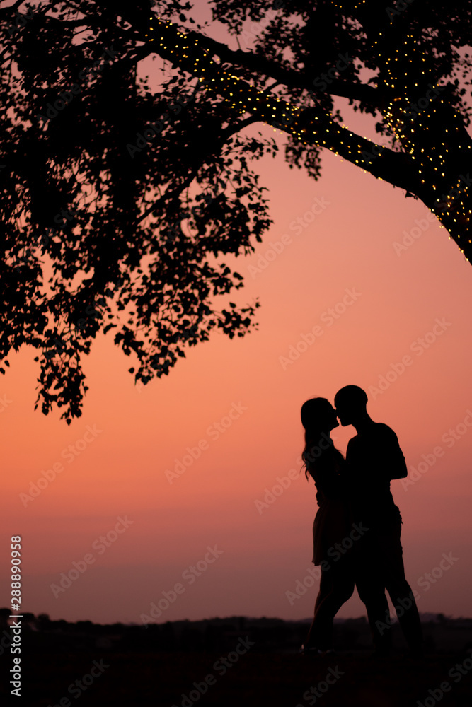 Silhouette of a couple in a romantic moment at the evening in sunset moment with pink sky behind and a tree making a shape of a heart