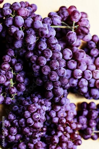 Champagne Grapes On Otomi Backdrop photo