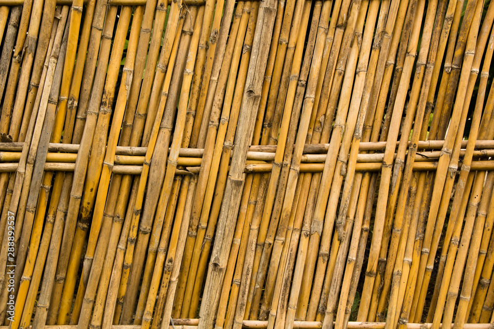 bamboo fence background bamboo fence background