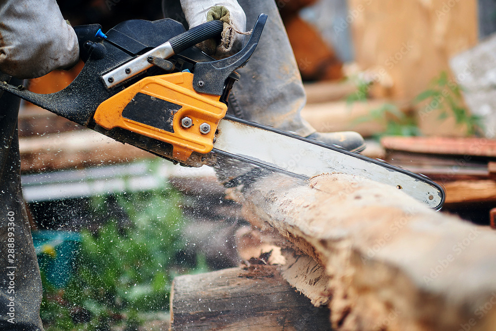Man cut with saw. Dust and movements. Woodcutter saws tree with chainsaw on sawmill. lumberjack
