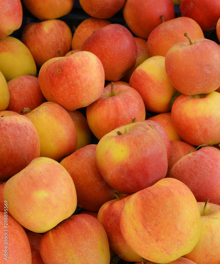 organic and fresh apples in the market organic and fresh apples in the market