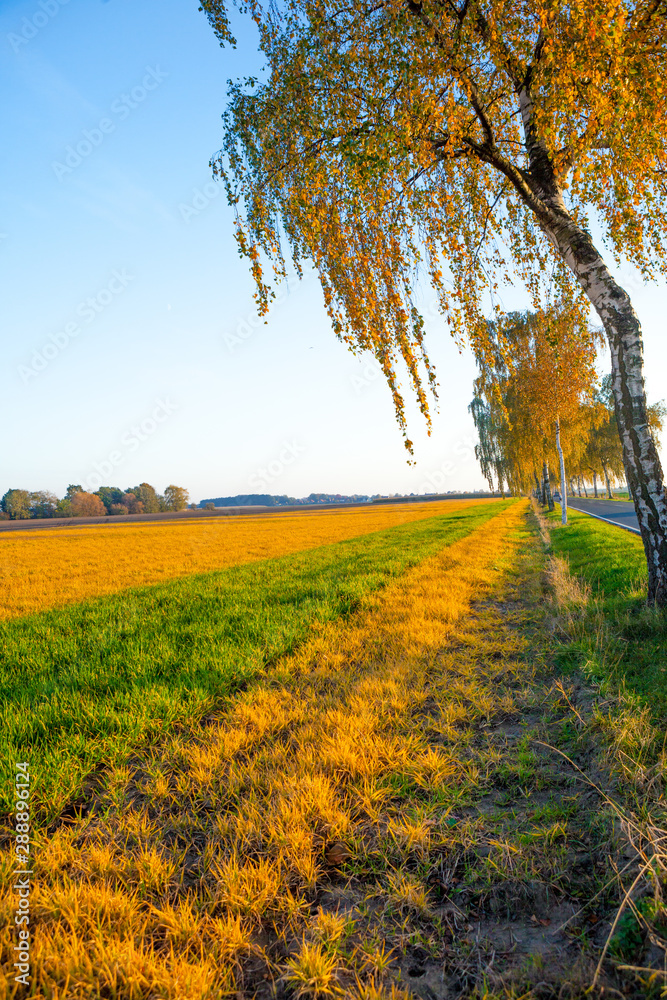 Autumn sunny landscape with colorful view Lower Saxony