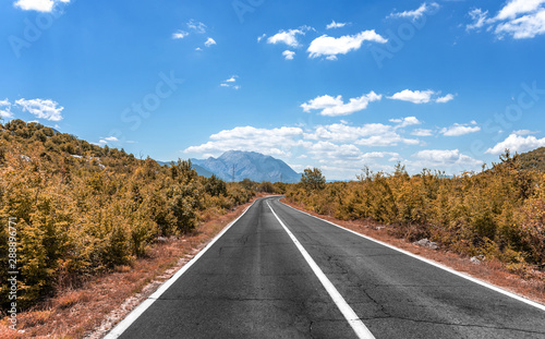 Road in the fall. Country highway in the autumn.