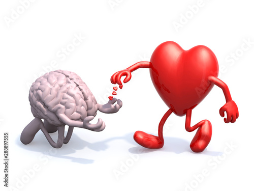 Fotografie heart and brain love alms