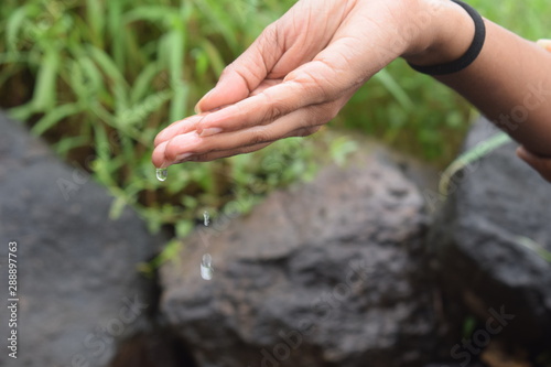 Water Dropping Stock, hand watering, Water Drop Pictures HD