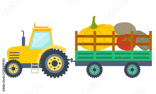 Tractor carrying pumpkin, tomato and potato in trailer. Yellow agricultural vehicle with vegetables, harvesting and farming, vegetarian food, rustic vector. Flat cartoon