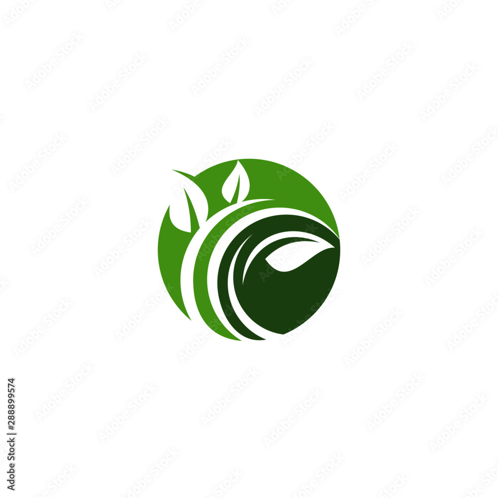 Creative green leaf logo template Creative green leaf logo template