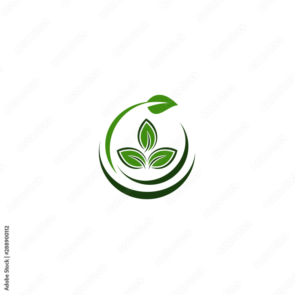 Creative green leaf logo template Creative green leaf logo template
