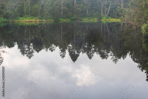 trees and clouds reflection on water ground of Velke mechove jezirko lake near Rejviz in Jeseniky mountains in Czech republic photo