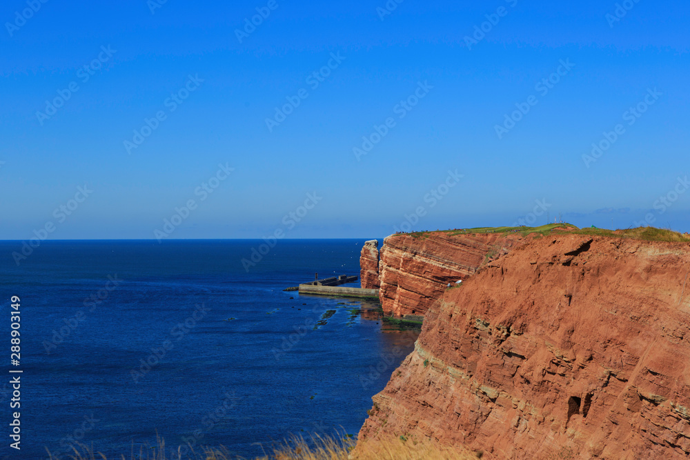 Gull Helgoland island nature reserve wildlife haven German North Sea