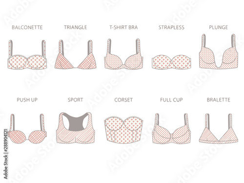 Types of women's bra with various print. Vector illustration