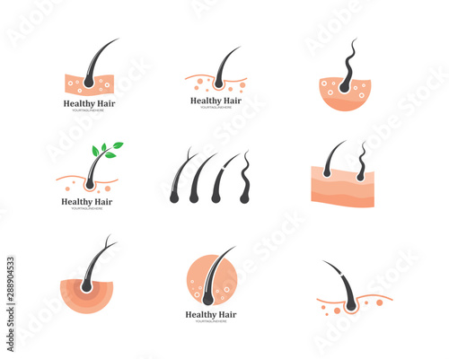 hair root icon vector illustration design