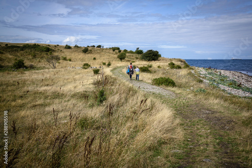 Landschaft auf Fyns Hoved