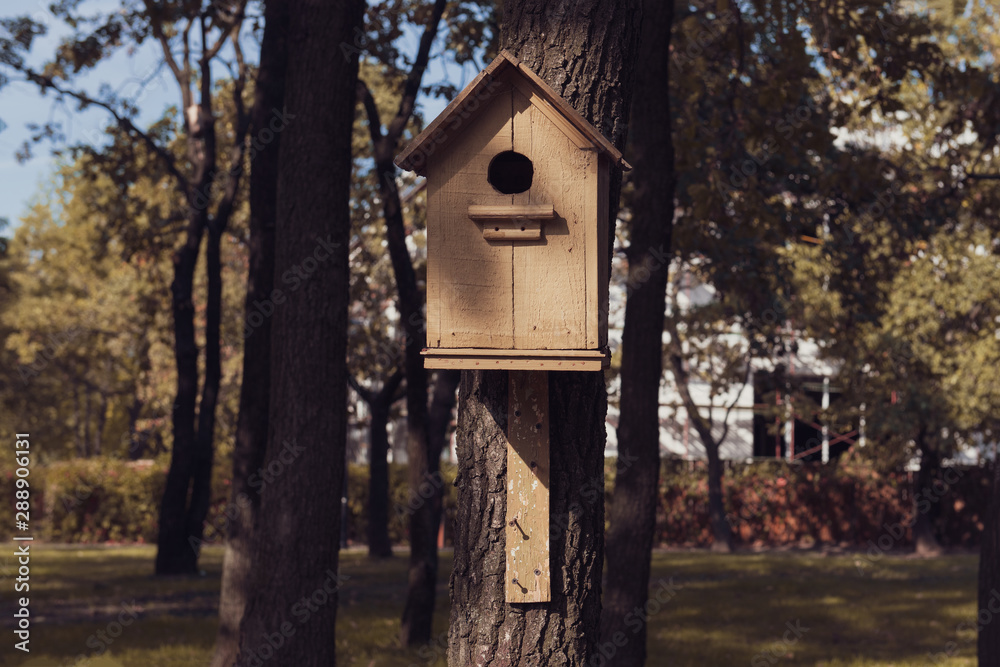 Cute empty wooden birdhouse in the park. Handmade house for birds among the trees. Home of a sparrow.