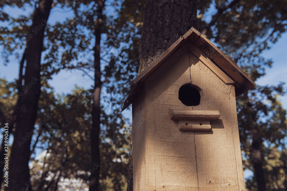 Cute empty wooden birdhouse in the park. Handmade house for birds among the trees. Home of a sparrow. Closeup.