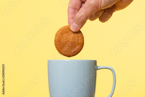 Quadro su tela Dunking a biscuit in a mug of tea.