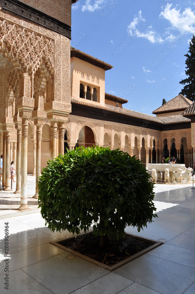 Fototapeta premium Alhambra Granada - Spagna