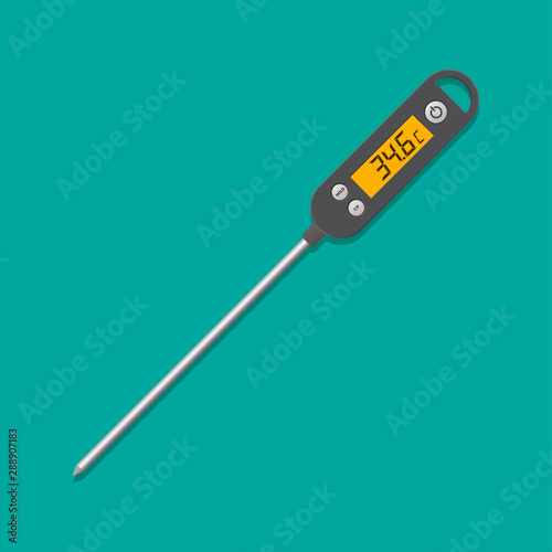 Digital kitchen thermometer.