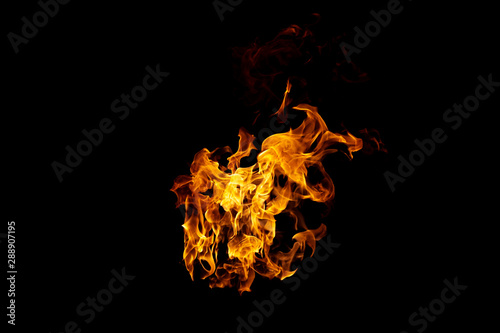 Group of real and hot flames are burning on a black background. © Prot