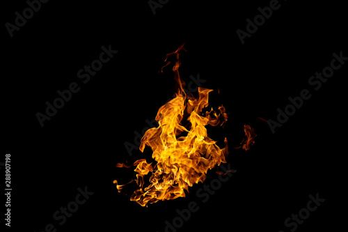 Group of real and hot flames are burning on a black background.