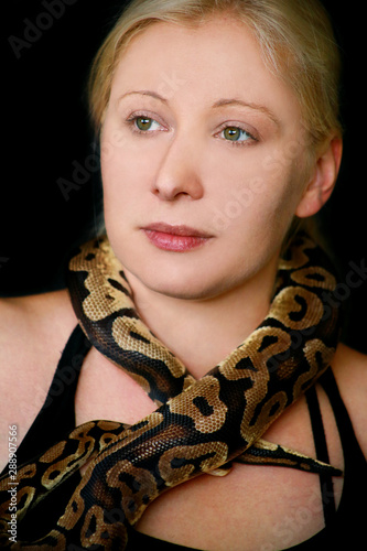 Portrait of girl with Royal Python snake. Woman holds Ball Python snake around neck and in hands, posing in front the camera. Exotic tropical cold-blooded reptile animal, Python regius species snake.