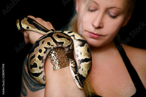 Portrait of girl with Royal Python snake. Woman holds snake in hands with beauty jewelry and posing in front of camera. Exotic tropical cold-blooded reptile, Ball Python (Python regius) species snake.