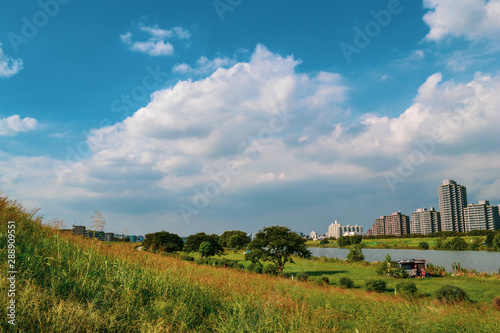 川辺の夏空