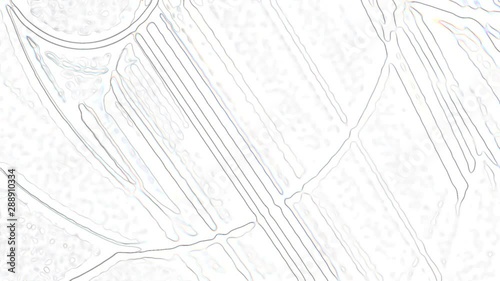 Abstract fractal forms morph and oscillate (Loop)