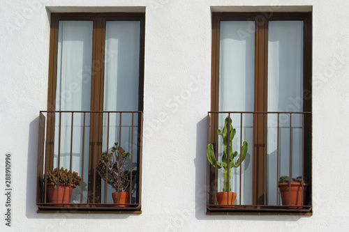 Closeup of a white house wall with two tall windows with brown frames and balcony grids and a minimalistic balcony decoration with two pots with cactus on each balcony