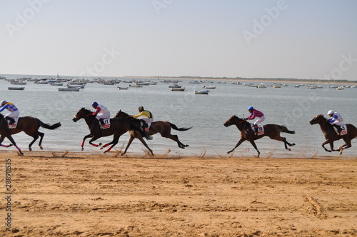 Sanlucar de Barrameda - Cavalli - Spagna