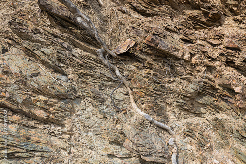 Natural volcanic stone texture. Rock texture and background.