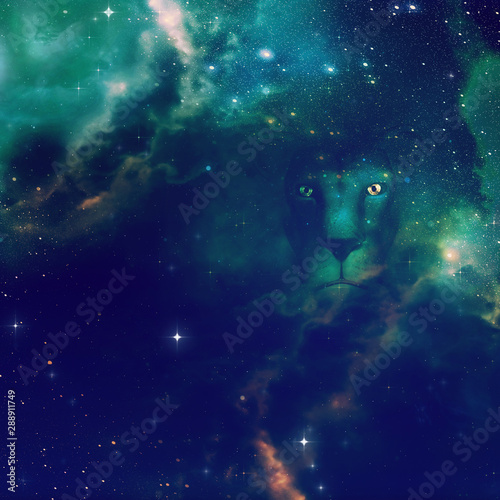 3d lion with starry space