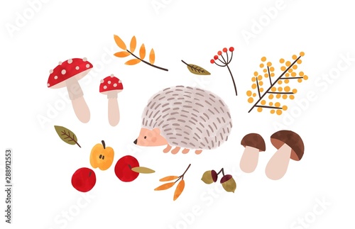 Forest flora and fauna hand drawn vector illustration