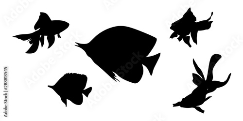 Fish silhouettes, small elements set white isolated