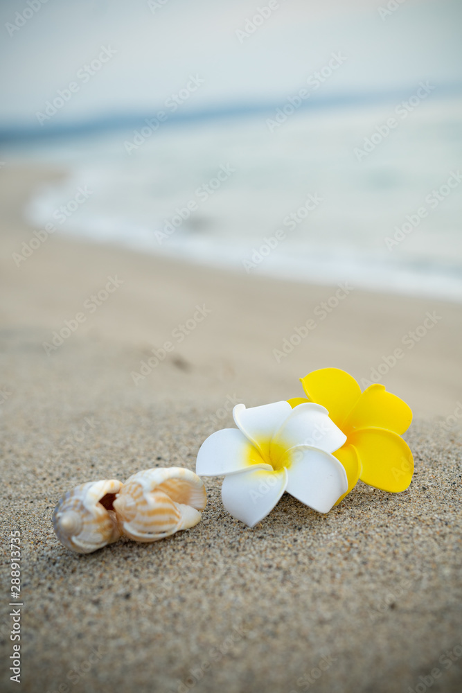 砂浜とプルメリアの花 砂浜とプルメリアの花