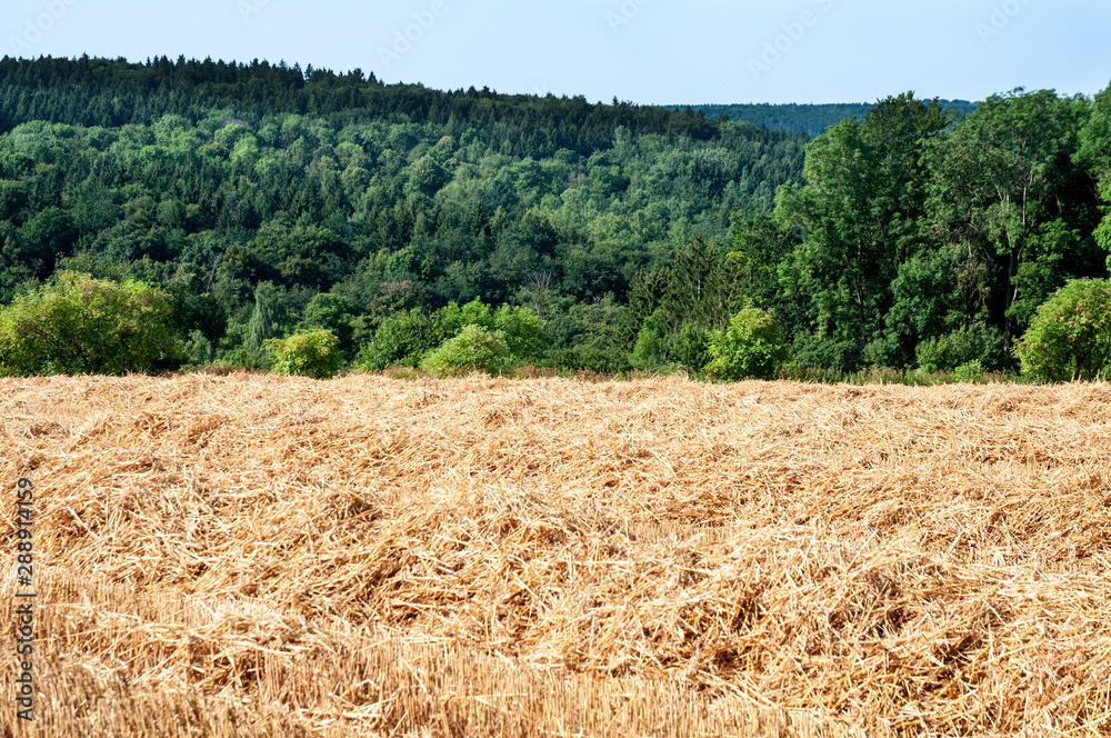 view over harvested field to hilly forest