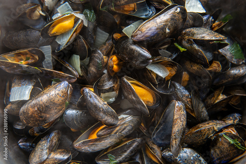 closeup of mussels in cooking pot