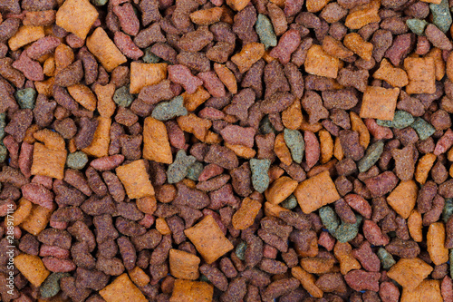 Dry cat food used as background