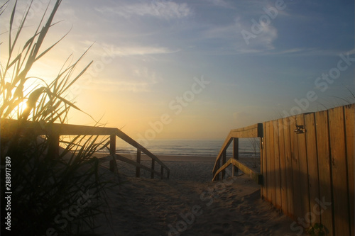 Early morning at the Atlantic beach. Scenic marine landscape with way to the beach through sand dunes and calm ocean in soft sun light during sunrise at Pawleys Island  South Carolina  USA.