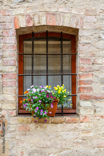 Blooming flowers at a window