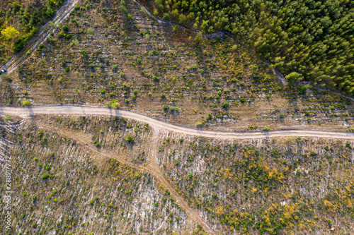 road through the forest  top view