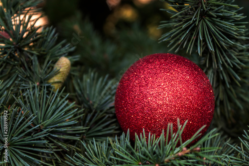 Christmas / New Year Red Decorative Ball on The Pine Tree