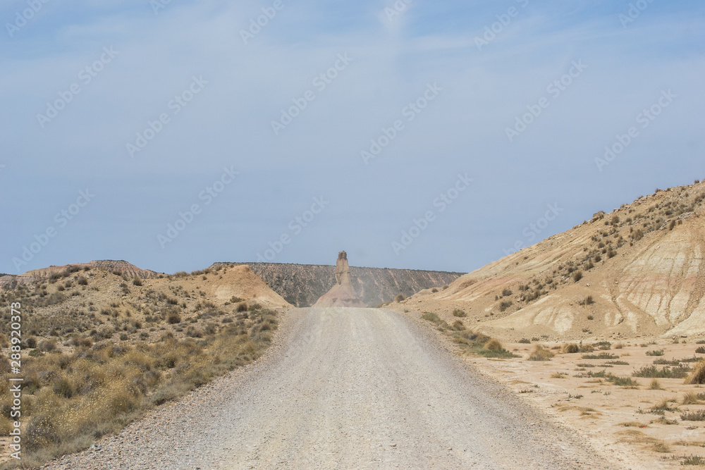 Bárdenas reales