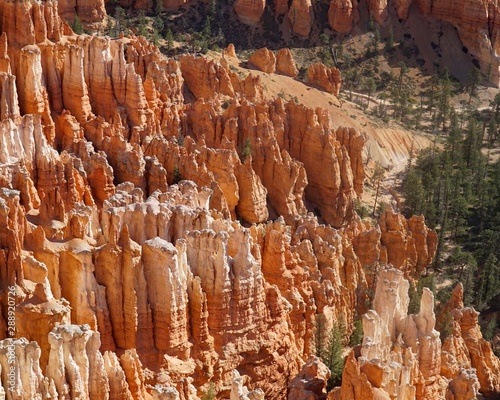 hoodoos in bryce canyon national park