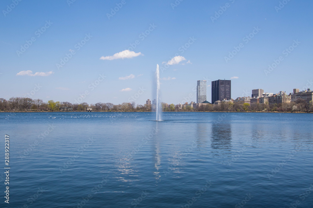 New York New York