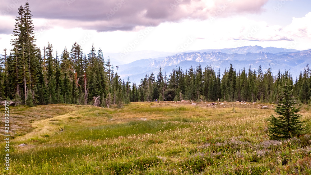 Mount Shasta sacred panther meadow landscape, California, Usa