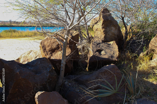 rocks at the beach