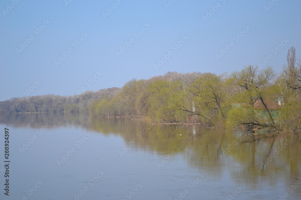 Beautiful summer landscape by the river