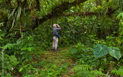 Birder looking for birds along trail through the upland rainforest of the Hacienda Hakuna Matata near Archidona, Ecuador.